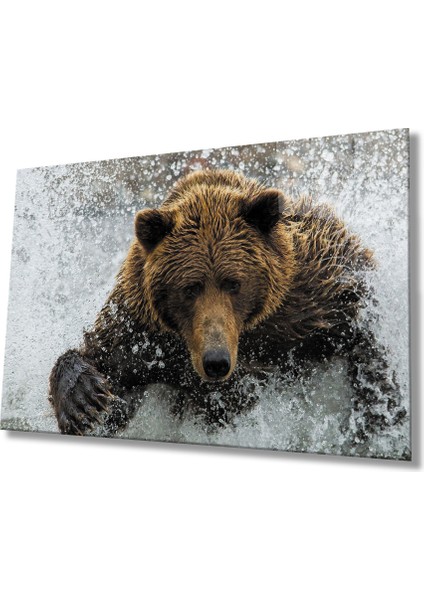 Ayı Sevgililer Günü Cam Tablo