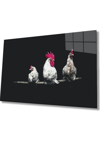 Horozlar Cam Tablo