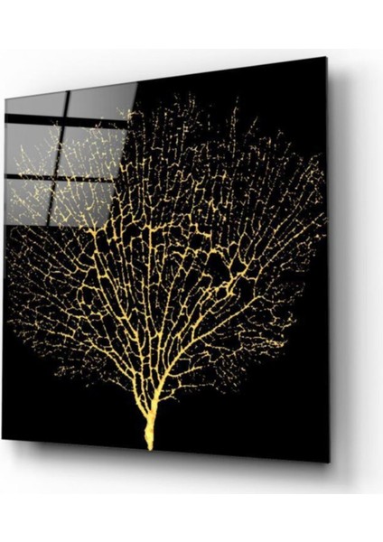 Ağaç Cam Tablo fiyatları