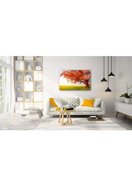 Doğa Cam Tablo fiyatları