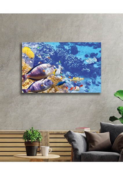 Balıklar, Colorful Fishes fiyatları