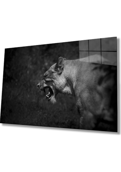Aslan Cam Tablo