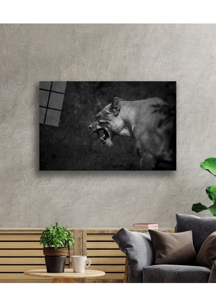 Aslan Cam Tablo fiyatları