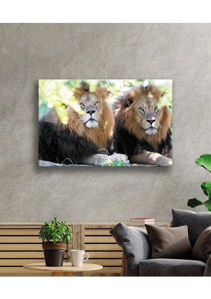 Aslan Cam Tablo fiyatları