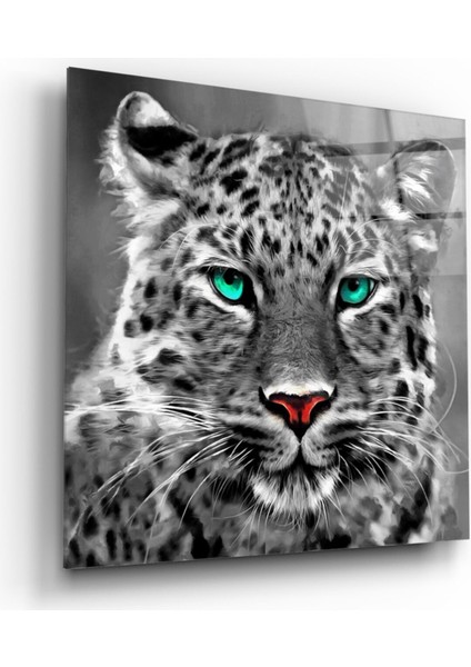 Leopar Cam Tablo