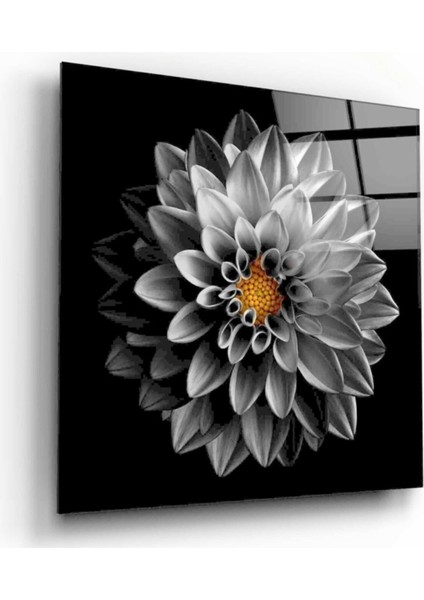 Çiçek Cam Tablo fiyatları