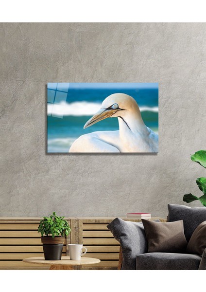 Martı Cam Tablo fiyatları