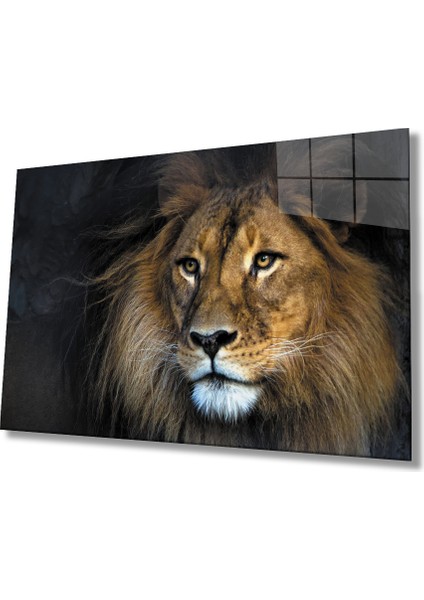 Aslan Cam Tablo