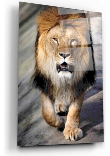 Aslan Cam Tablo modelleri