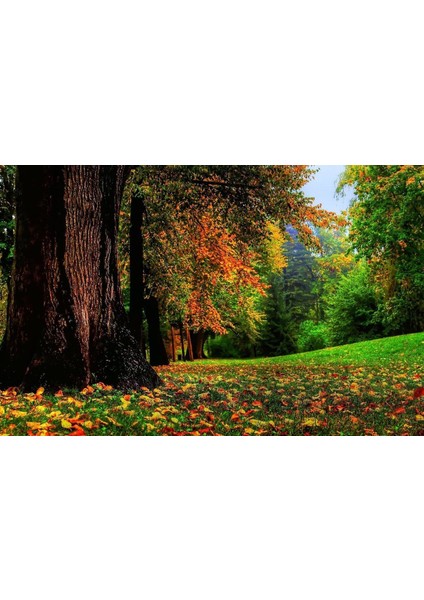 Doğa Cam Tablo fiyatları