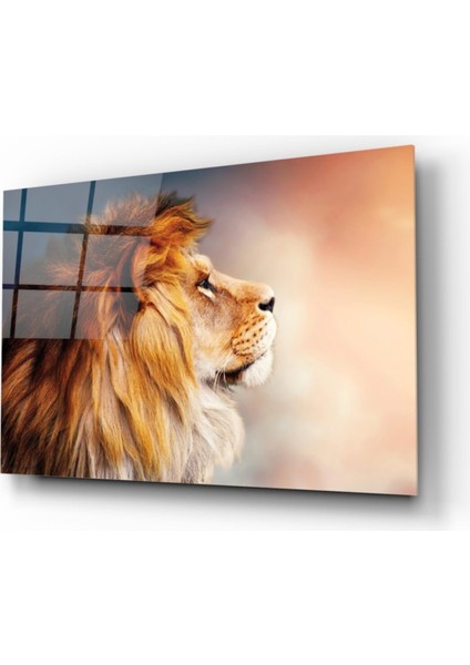 Aslan Cam Tablo