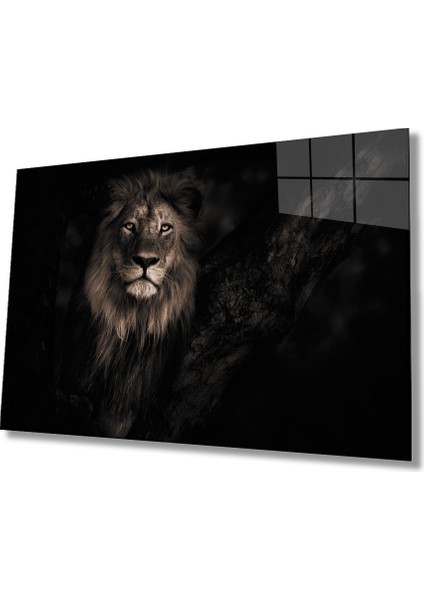 Aslan Cam Tablo