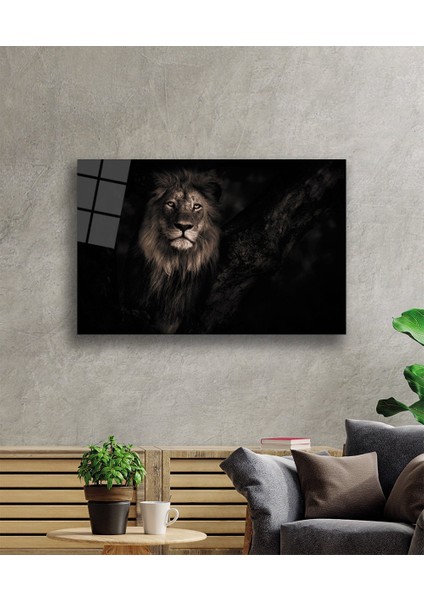 Aslan Cam Tablo fiyatları