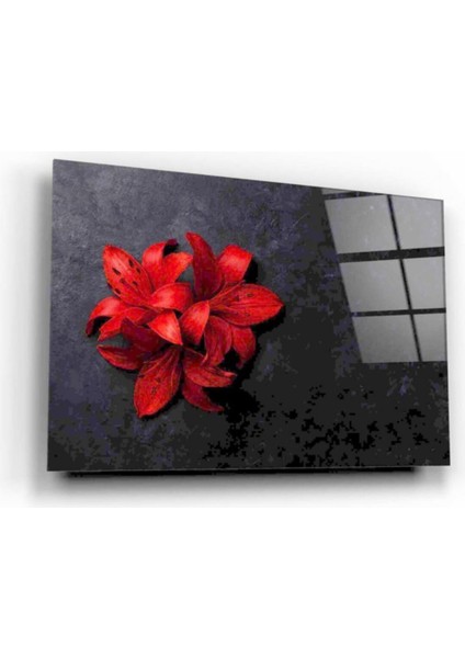 Çiçek Cam Tablo fiyatları