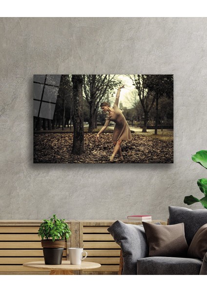 Balerin Cam Tablo fiyatları