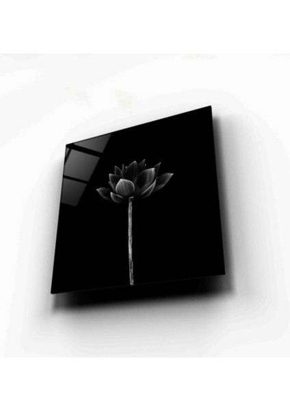 Çiçek Cam Tablo fırsatları