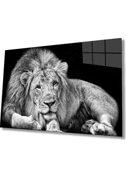Aslan Cam Tablo