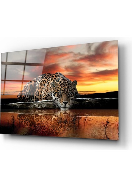 Kaplan Cam Tablo fiyatları