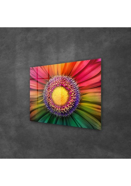 Cam Tablo Gökkuşağı Papatya 70X100 cm fiyatları