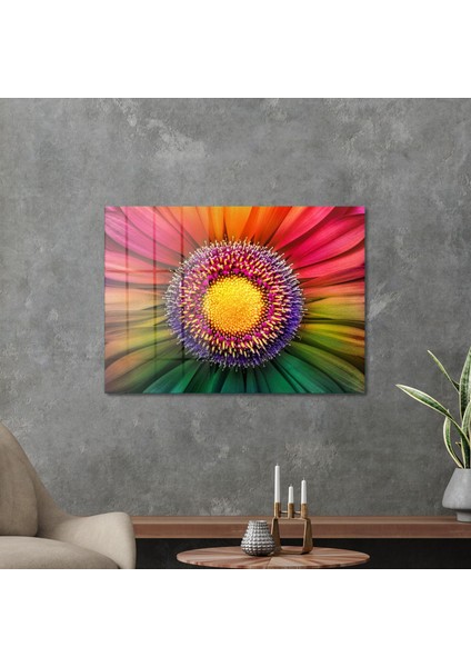 Cam Tablo Gökkuşağı Papatya 70X100 cm modelleri