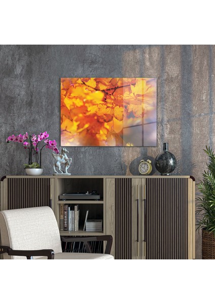 TBY-1233 Cam Tablo 70X100 cm