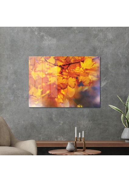 TBY-1233 Cam Tablo 70X100 cm