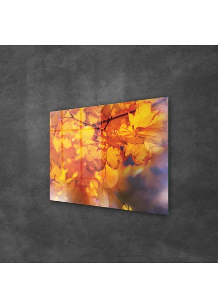 TBY-1233 Cam Tablo 70X100 cm