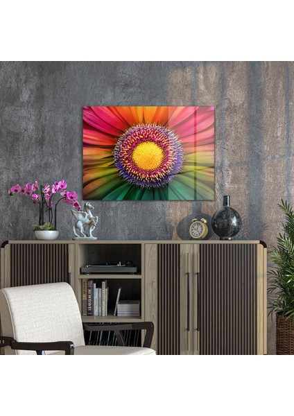 Cam Tablo Gökkuşağı Papatya 50X70 cm