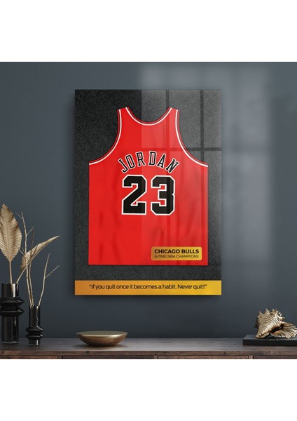 Cam Tablo Michael Jordan Forma 70X100 cm