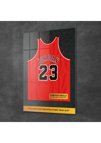 Cam Tablo Michael Jordan Forma 70X100 cm fiyatları