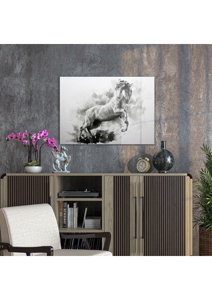 Cam Tablo Siyah Beyaz At 50X70 cm