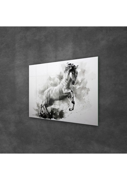 Cam Tablo Siyah Beyaz At 50X70 cm fiyatları