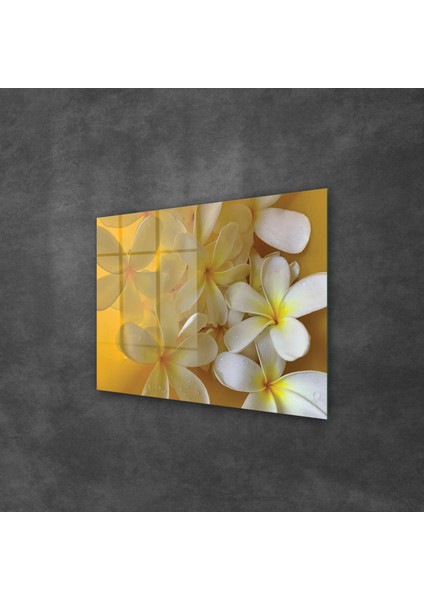 Cam Tablo White Lily Desenli 50X70 cm fiyatları