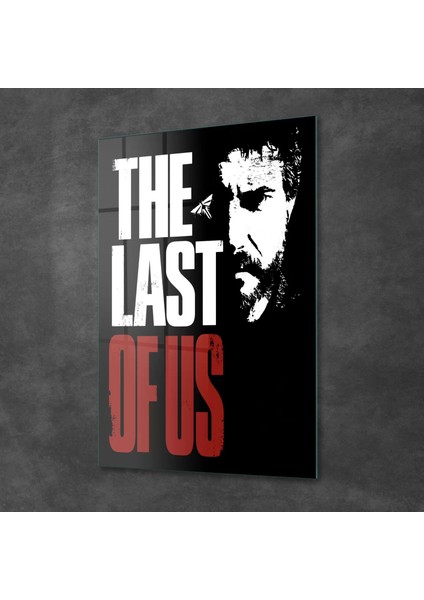 Cam Tablo The Last Of Us Joel 30X40 cm fiyatları