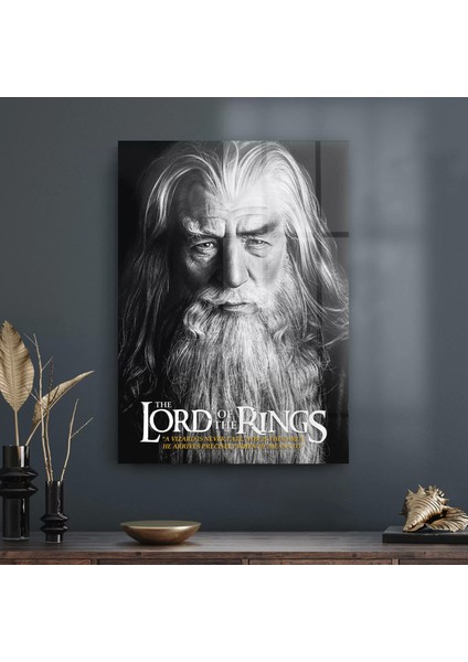 Cam Tablo Yüzüklerin Efendisi Gandalf Never Late 30X40 cm