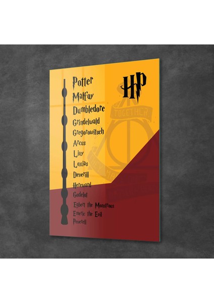 Cam Tablo Harry Potter Mürver Asa 30X40 cm