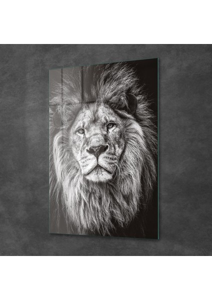 Aslan Desenli Cam Tablo 70X100 cm fiyatları