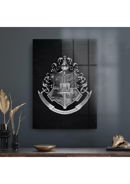 Cam Tablo Harry Potter Hogwarts Logo 30X40 cm