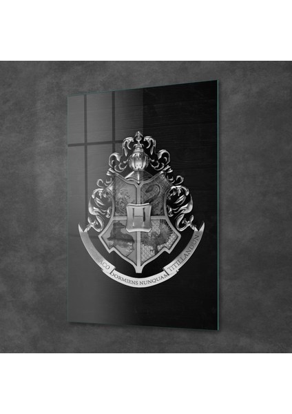 Cam Tablo Harry Potter Hogwarts Logo 30X40 cm fiyatları
