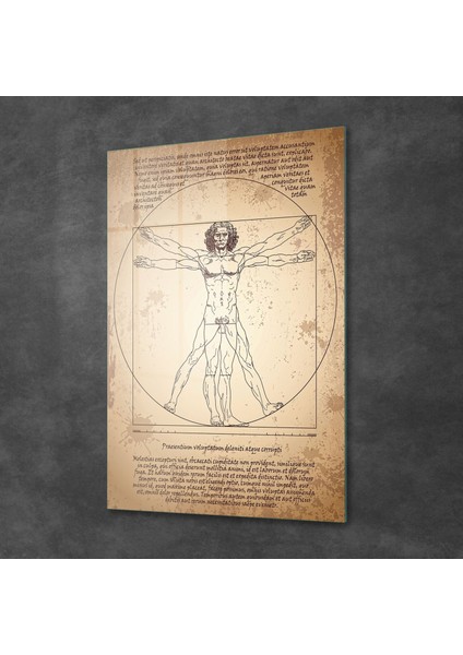 Davinci Vitruvius Adamı Cam Tablo 70X100 cm fiyatları