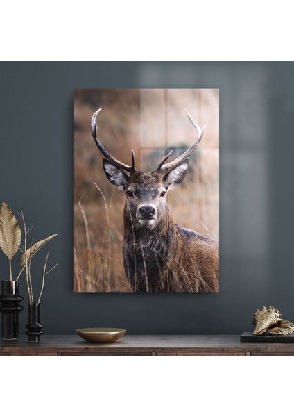Erkek Geyik Cam Tablo 70X100 cm