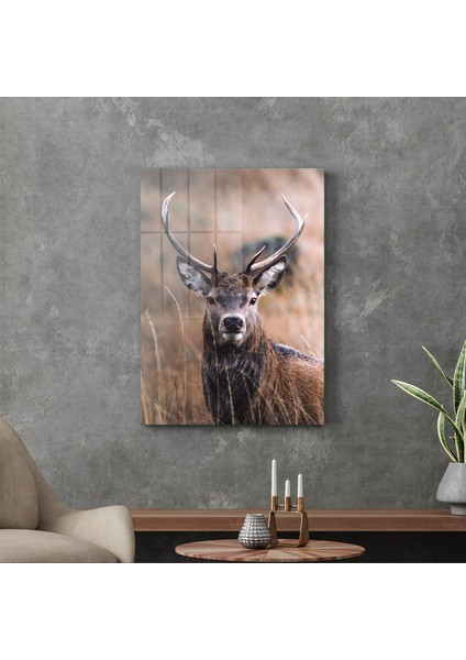 Erkek Geyik Cam Tablo 70X100 cm modelleri