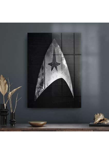 Cam Tablo Star Trek Logo 70X100 cm