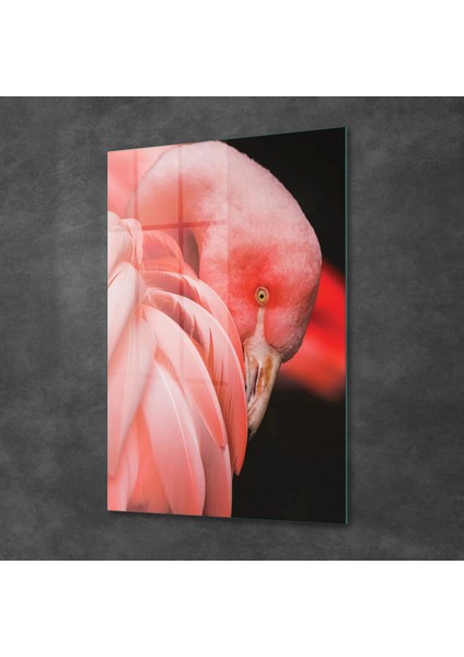 Cam Tablo Flamingo 70X100 cm fiyatları