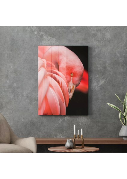 Cam Tablo Flamingo 70X100 cm modelleri