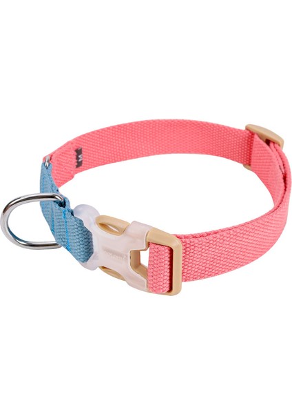 Köpek Boyun Tasması (Yurt Dışından)