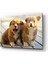 Köpekler Cam Tablo 1