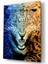 Leopar Cam Tablo 2
