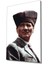 Atatürk Cam Tablo 1