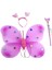 Kelebek Kanatlı Set Simli Pembe 1